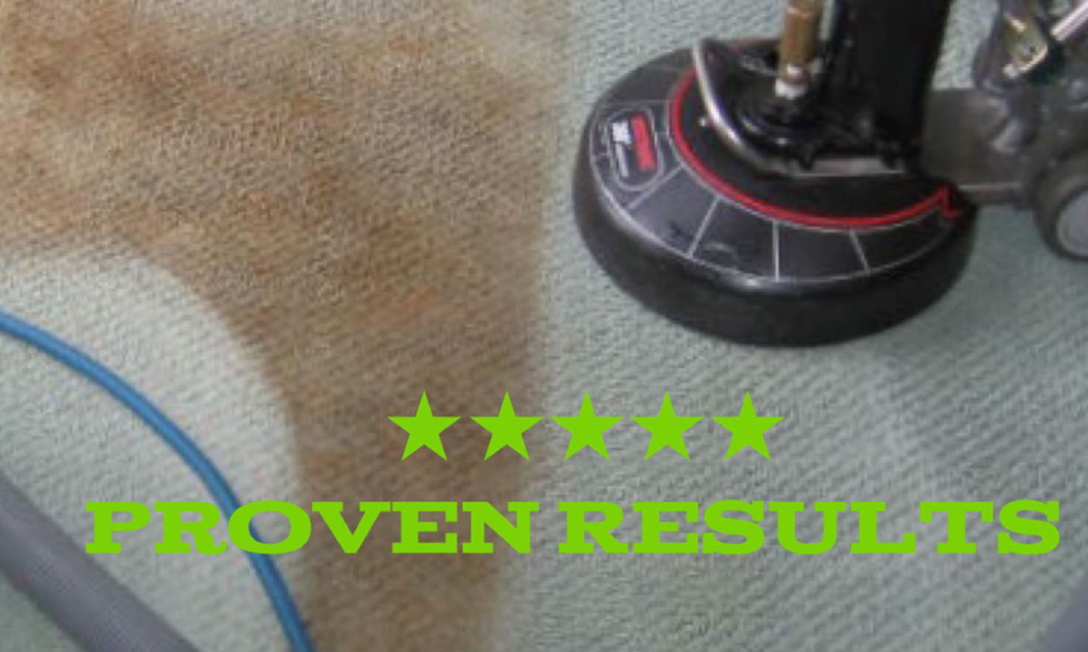 Eco Fusion Carpet Care